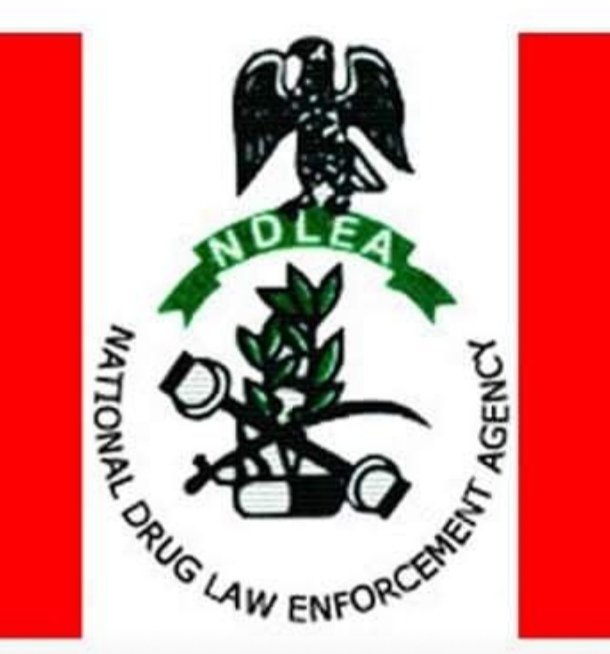 NDLEA expresses Fear as drug Misuse among women surges.