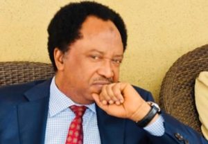 Sani warns Senate against approving Tinubu’s request for military intervention.