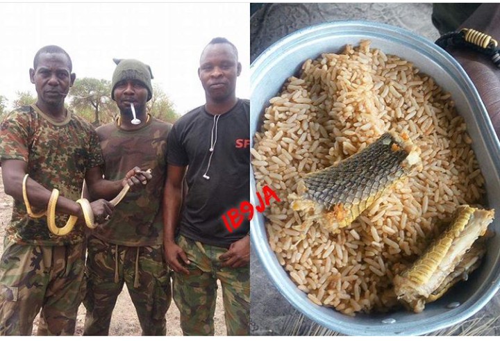 Army Chief Initiates Probe into Alleged Subpar Feeding of Nigerian Soldiers