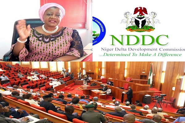 Senate Confirms New NDDC Board and Management Team
