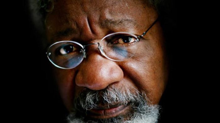 Accusers of Fraudulent Academic Records Given 30 Days to Present Evidence – Prof. Wole Soyinka