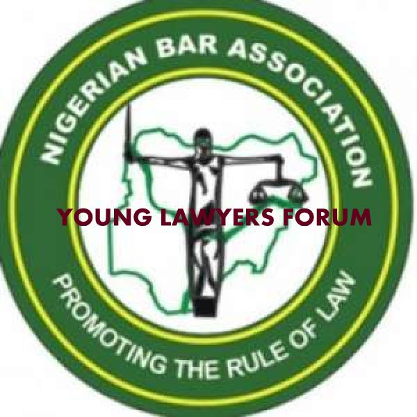 NBA-YLF Governing Council Establishes National Pro Bono Committee