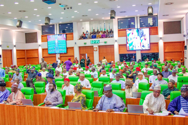 House of Reps to Probe Discrimination Against Nigerians by Abuja Chinese Supermarket